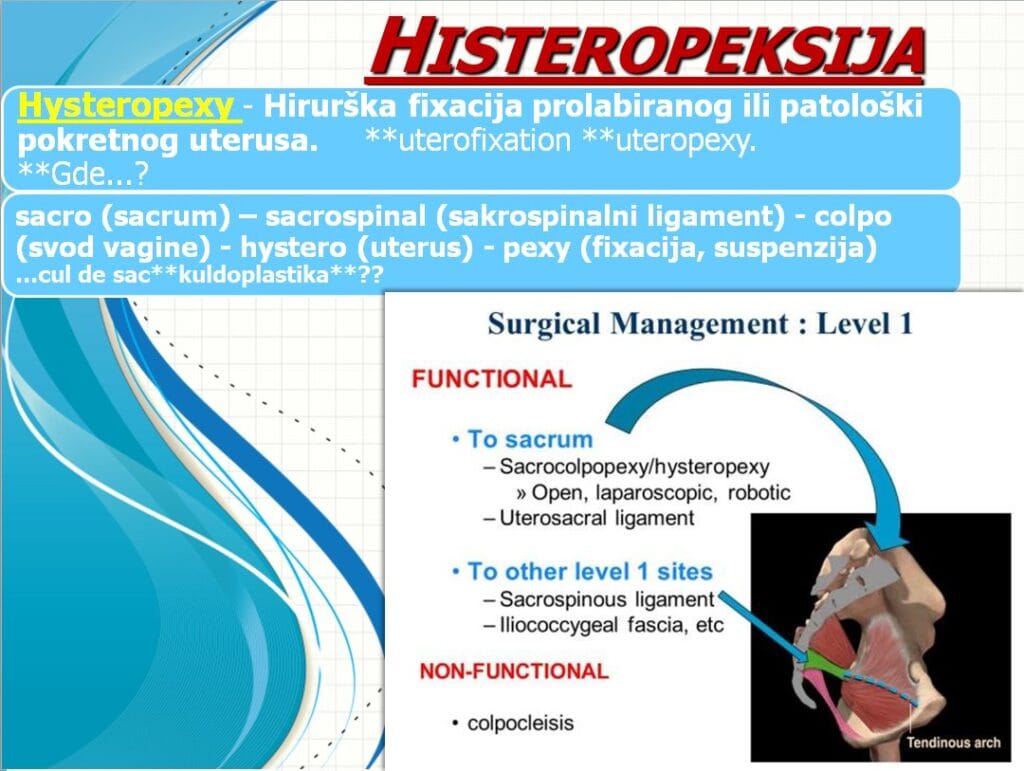 Histeropeksija