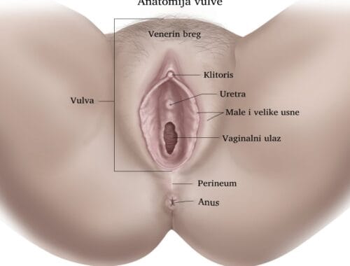 Perineoplastika