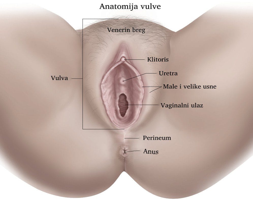 Perineoplastika